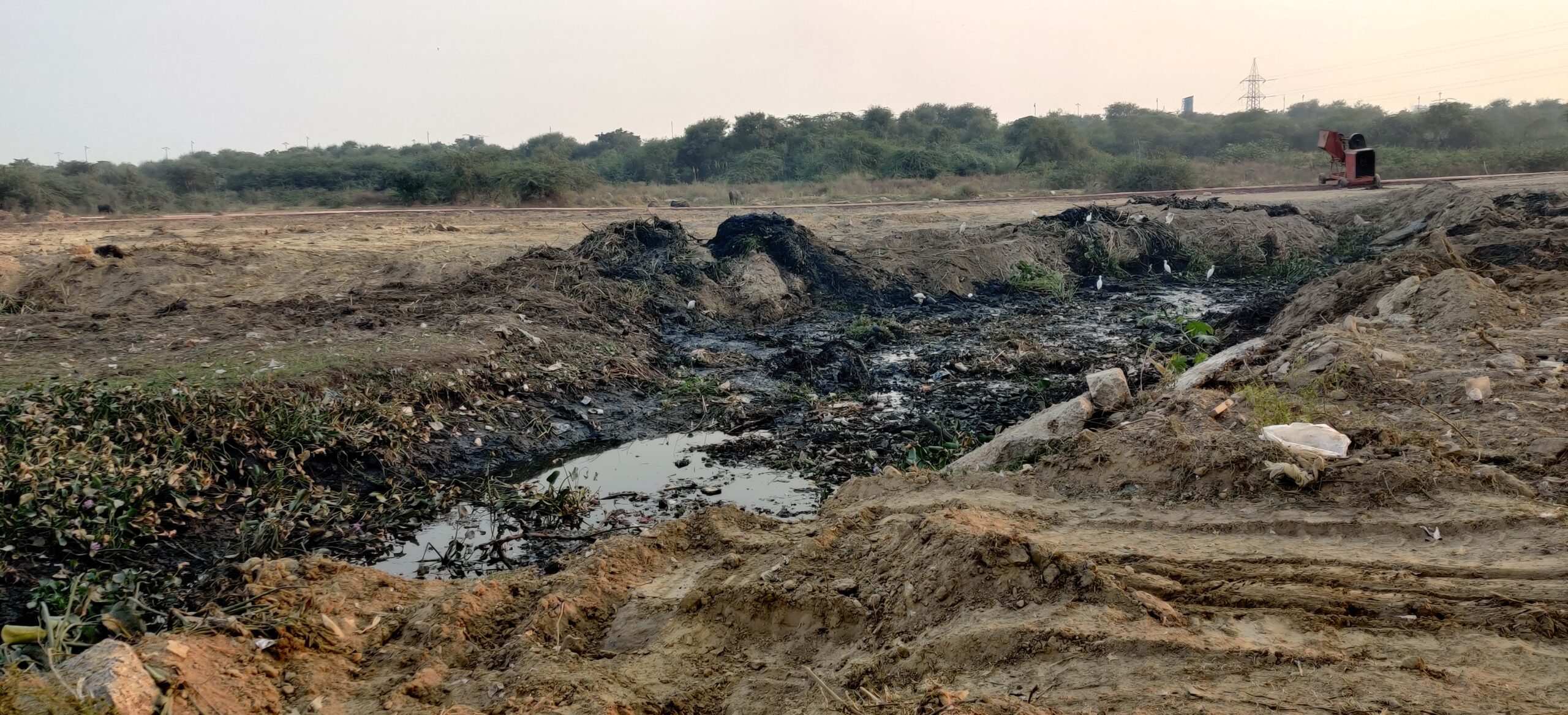 Drain Before Forest Creation